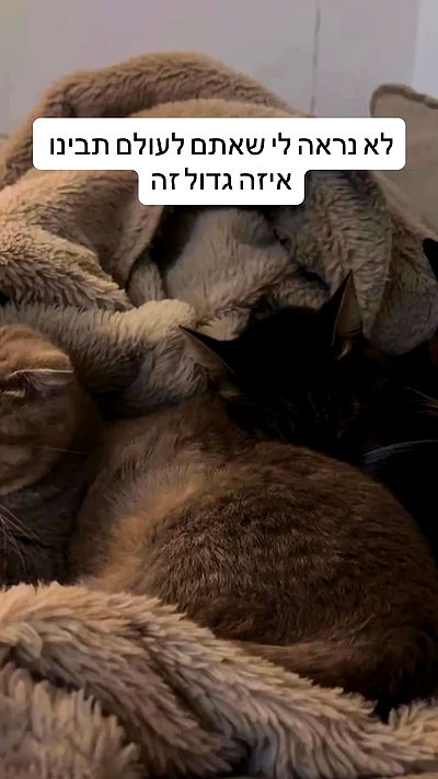 laluzone laluzone archive video