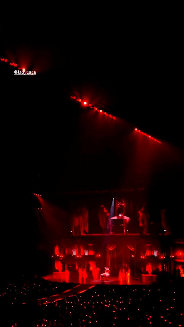 maori_cohen archive video preview