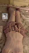 danafetishistova Altpins Profile Picture
