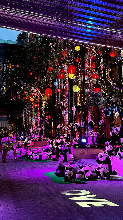 pinx_ir pinx_ir archive video