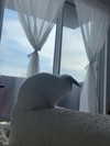 danielle.mercedie Altpins Profile Picture
