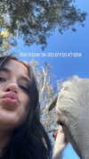 feelbetterinmysweater Altpins Profile Picture