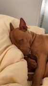 olivia.mathers Altpins Profile Picture