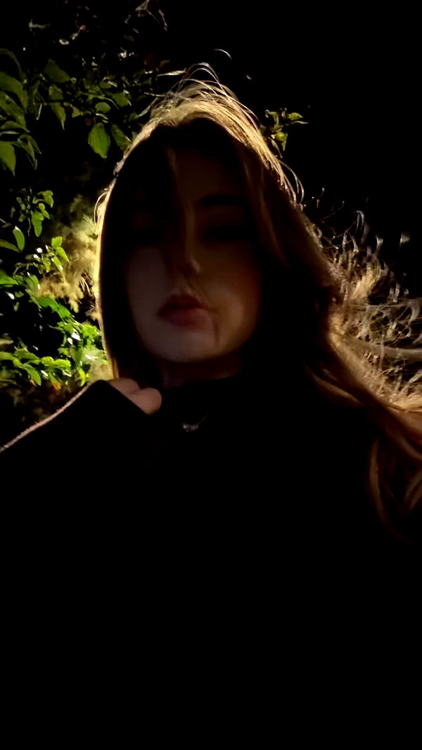_allvi.pansk archive video preview