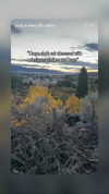 emily_new2 Altpins Profile Picture
