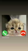 daryanedarya Altpins Profile Picture