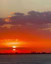 solzarubin_ Altpins Profile Picture