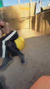 nina.kxs Altpins Profile Picture