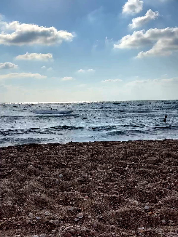 _b__eva__ archive video preview