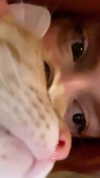 blarnes Altpins Profile Picture