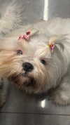 yuli.barell Altpins Profile Picture