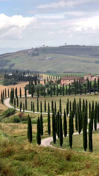 taylor.creeden taylor.creeden archive video