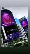 xtina Altpins Profile Picture