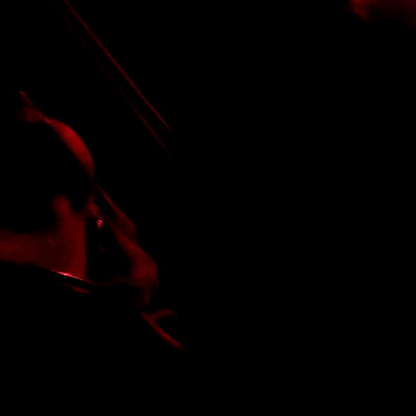 eva_romanovski archive video preview