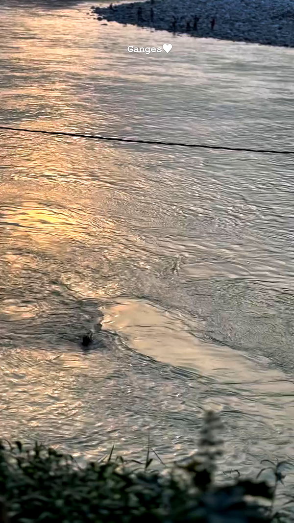 talya.fridland archive video preview