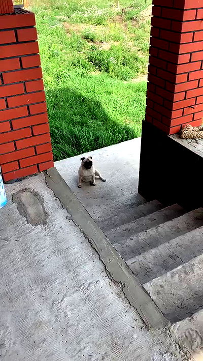 nyityam nyityam archive video