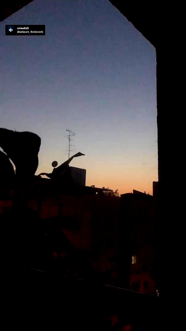 _.shelichka._ archive video preview