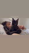 leni.bahr Altpins Profile Picture
