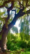aleiisha.piixiie Altpins Profile Picture