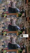 arachn1.ba3 Altpins Profile Picture