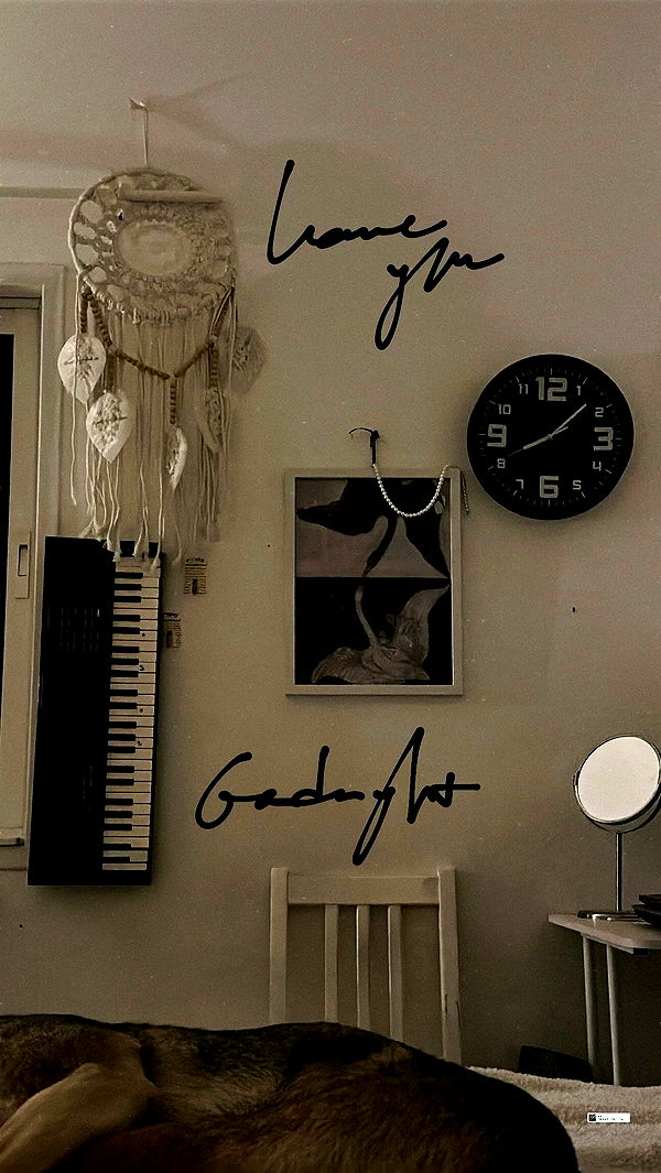 liashaked archive video preview