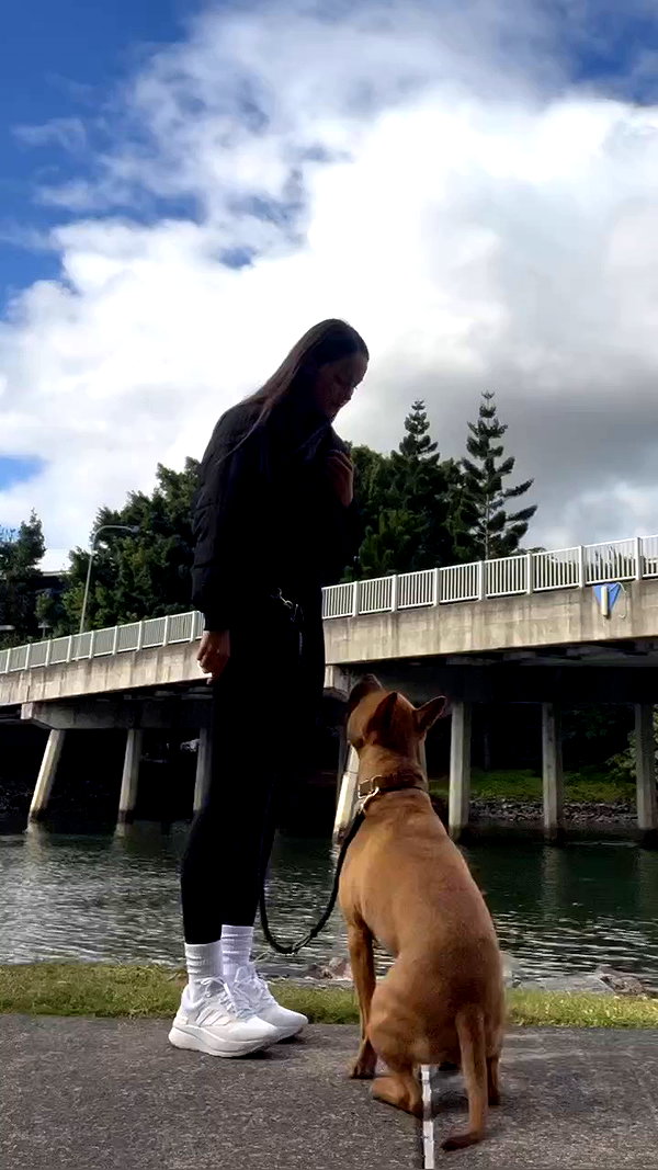 olivia.mathers archive video preview