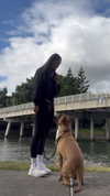 olivia.mathers Altpins Profile Picture