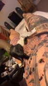 venecatattoo Altpins Profile Picture