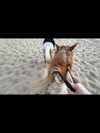 gritsa.k Altpins Profile Picture