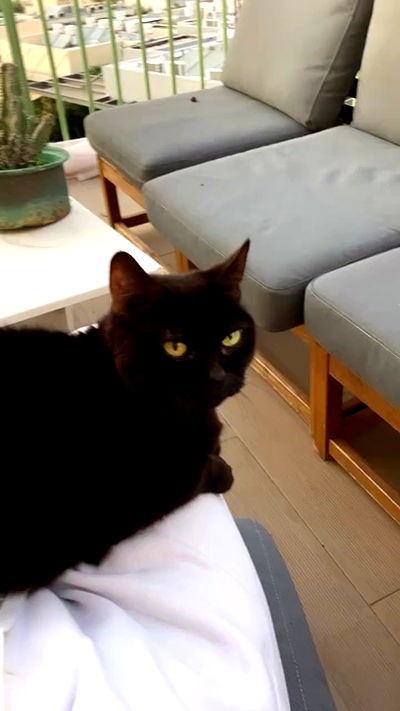 elianachetrit elianachetrit archive video