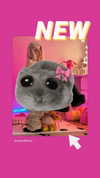 rawmilkkitty Altpins Profile Picture