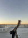 efrat_elmalich Altpins Profile Picture