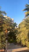 yuvalhazan___ Altpins Profile Picture