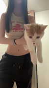 polin.ane.x Altpins Profile Picture