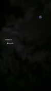 darkstar_mia Altpins Profile Picture