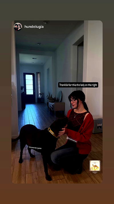 hundomewtwo hundomewtwo archive video