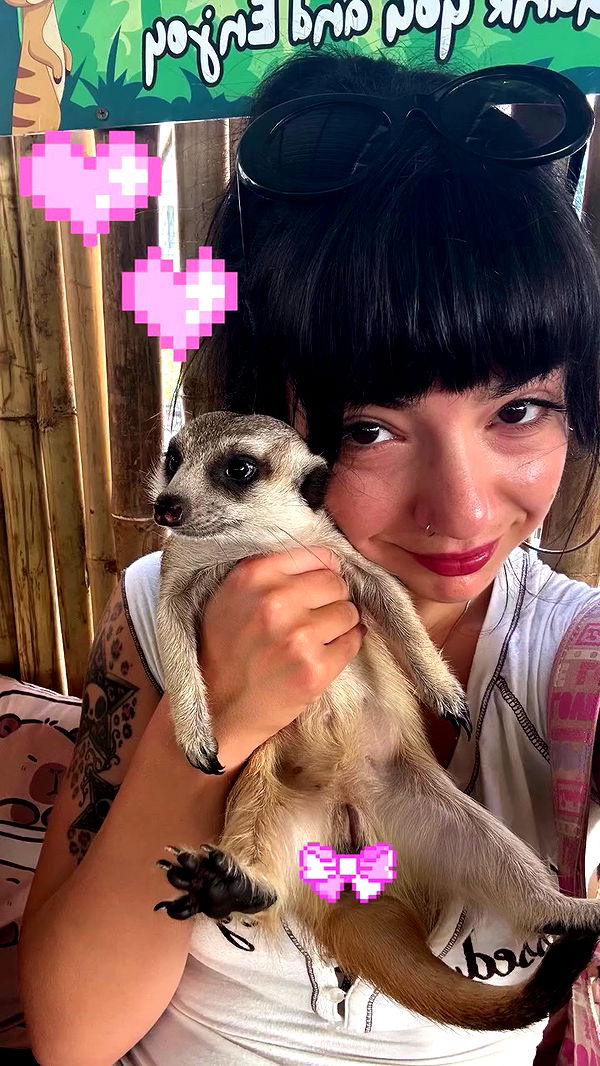 yam_adler archive video preview