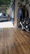 roee_mor_62 Altpins Profile Picture