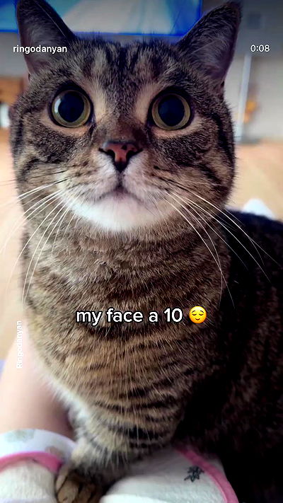 strawberryshanz strawberryshanz archive video