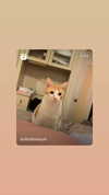 jiw_____n Altpins Profile Picture