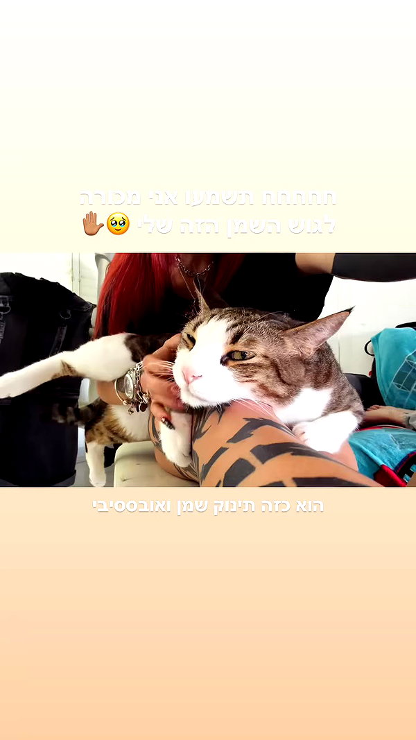 shaharo__._ archive video preview