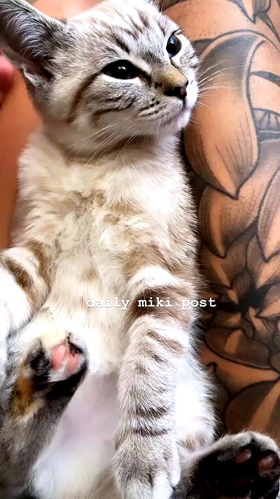 suikomuu suikomuu archive video