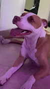 _mashachka_ Altpins Profile Picture