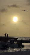 ruth_chavarri Altpins Profile Picture
