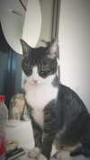 ronyida_ Altpins Profile Picture