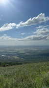 daisy_r_19 Altpins Profile Picture