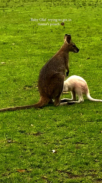 taylor.creeden taylor.creeden archive video