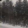 veroni22ka Altpins Profile Picture