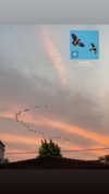 yaarat11 Altpins Profile Picture