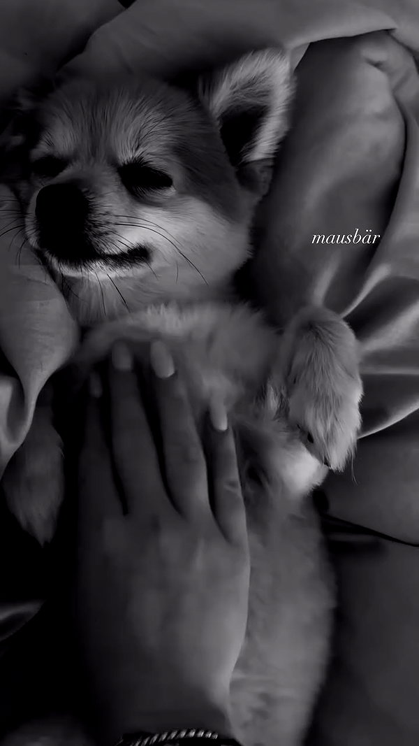 nina.kxs archive video preview